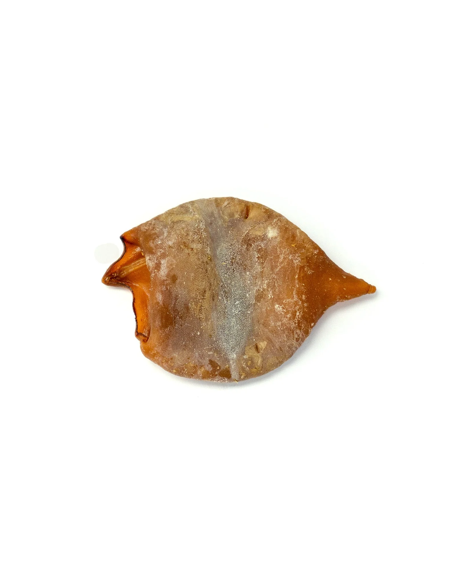 Baked Squid Bites - Image 3