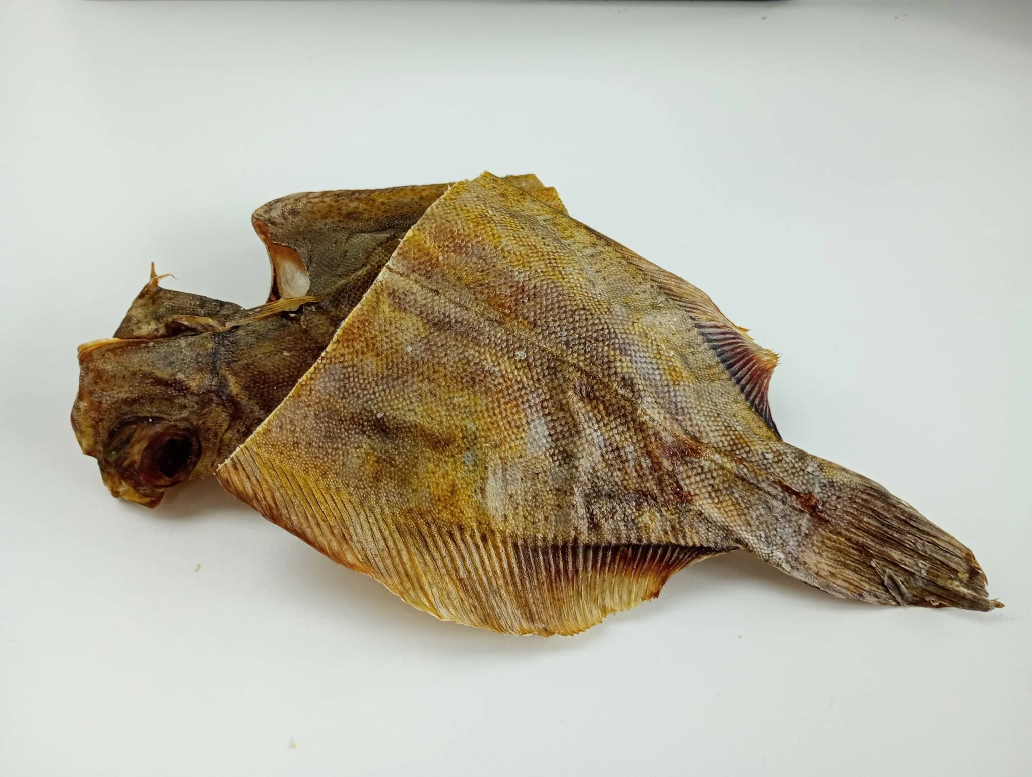 Sole Fish - Image 3
