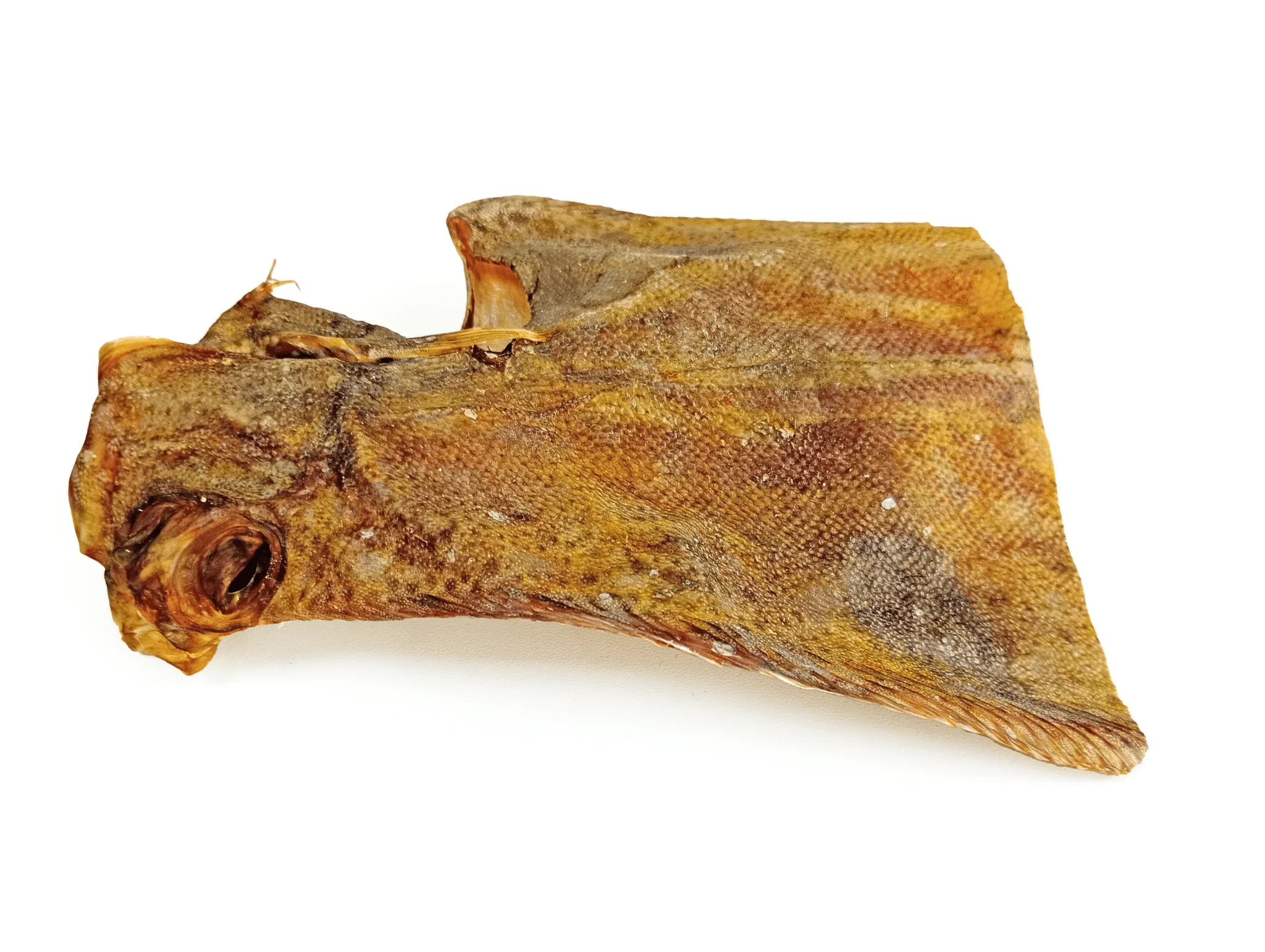 Sole Fish - Image 5