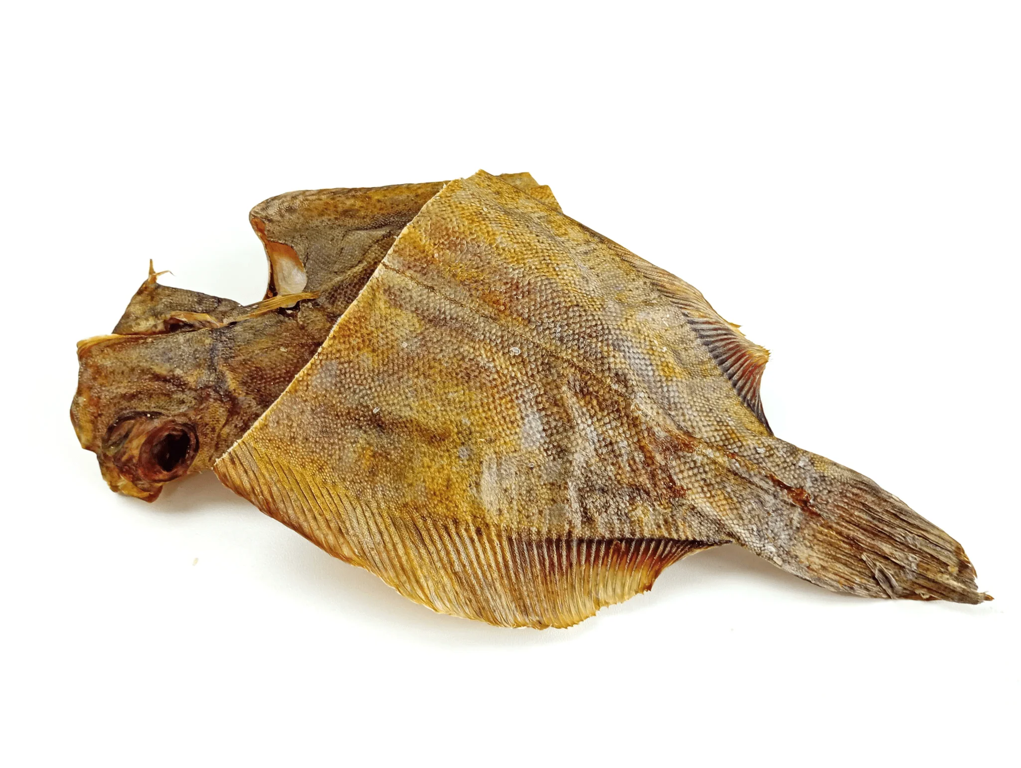 Sole Fish - Image 6