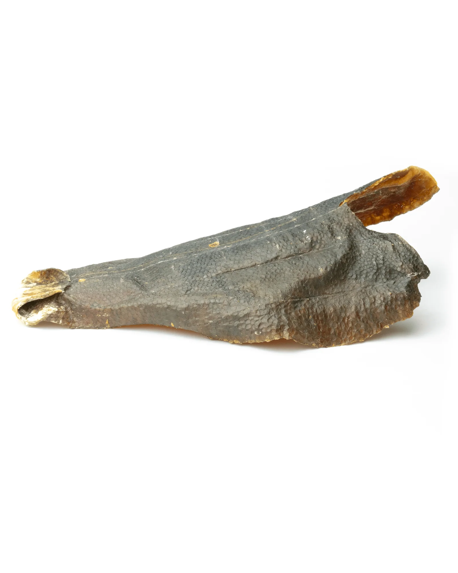 Dried Plaice Fillets - Image 3