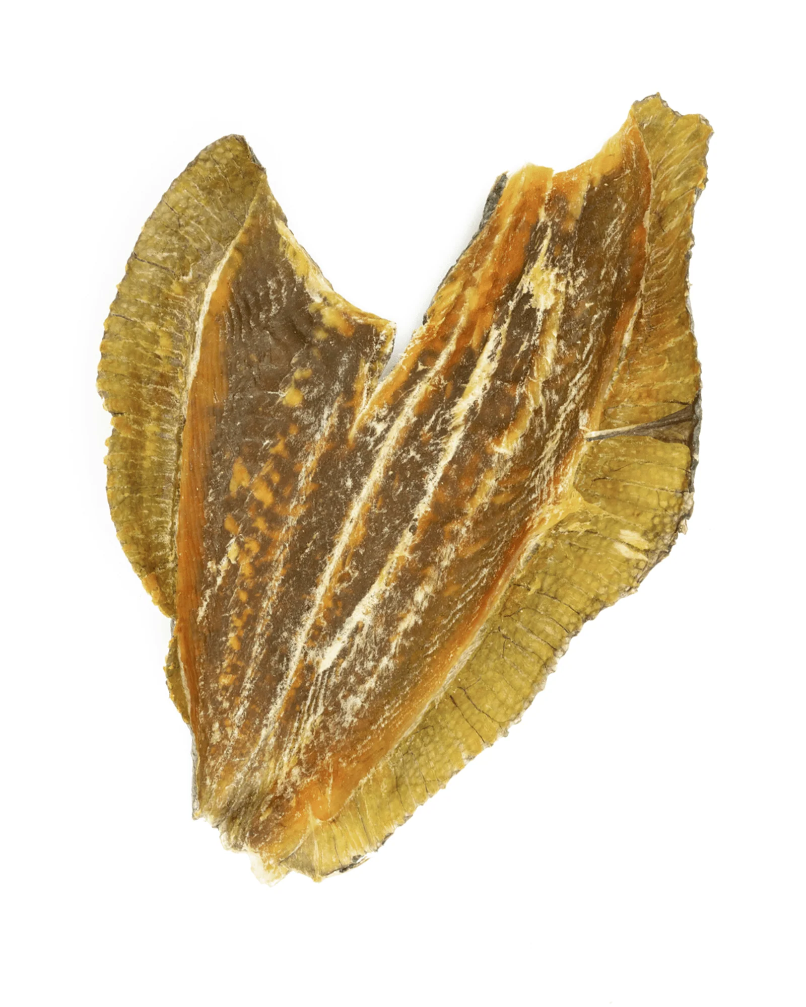 Dried Plaice Fillets - Image 9