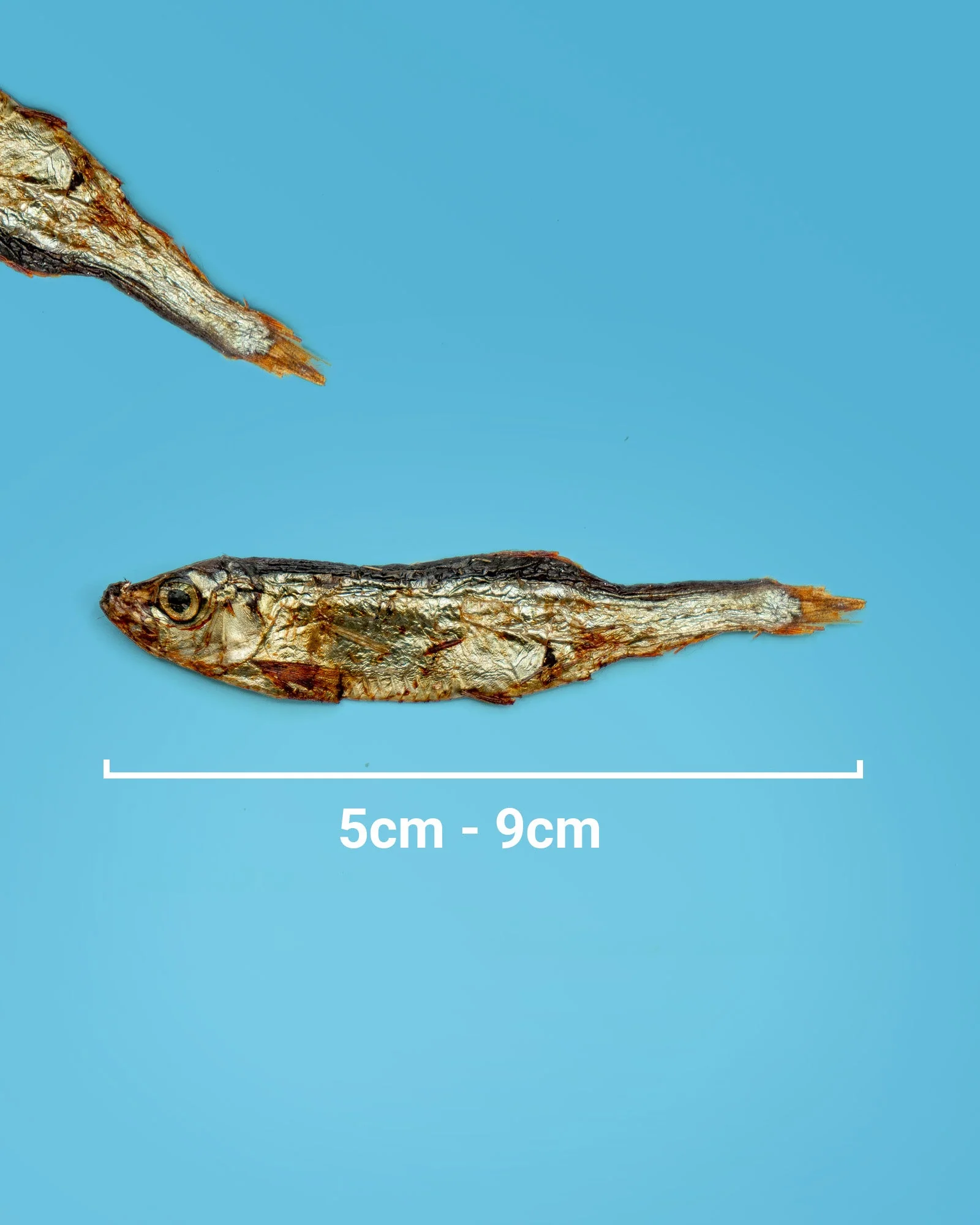 Dried Sprats - Image 6