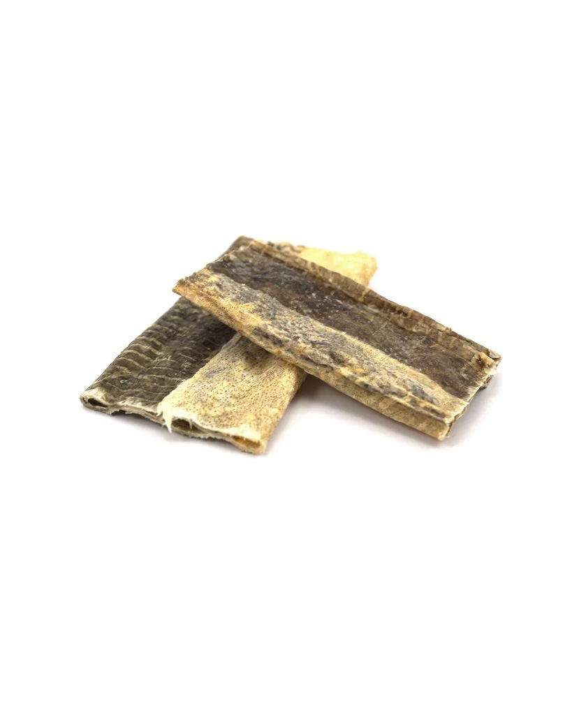 Fish Skin Flatties - Image 3
