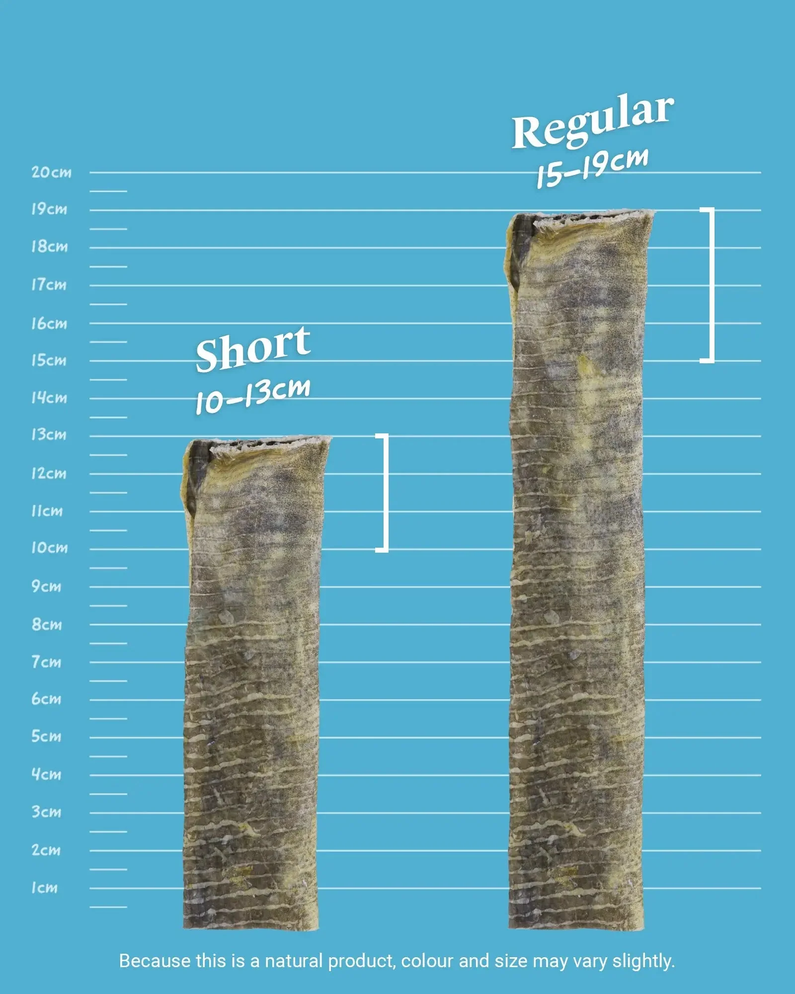 Fish Skin Flatties - Image 7