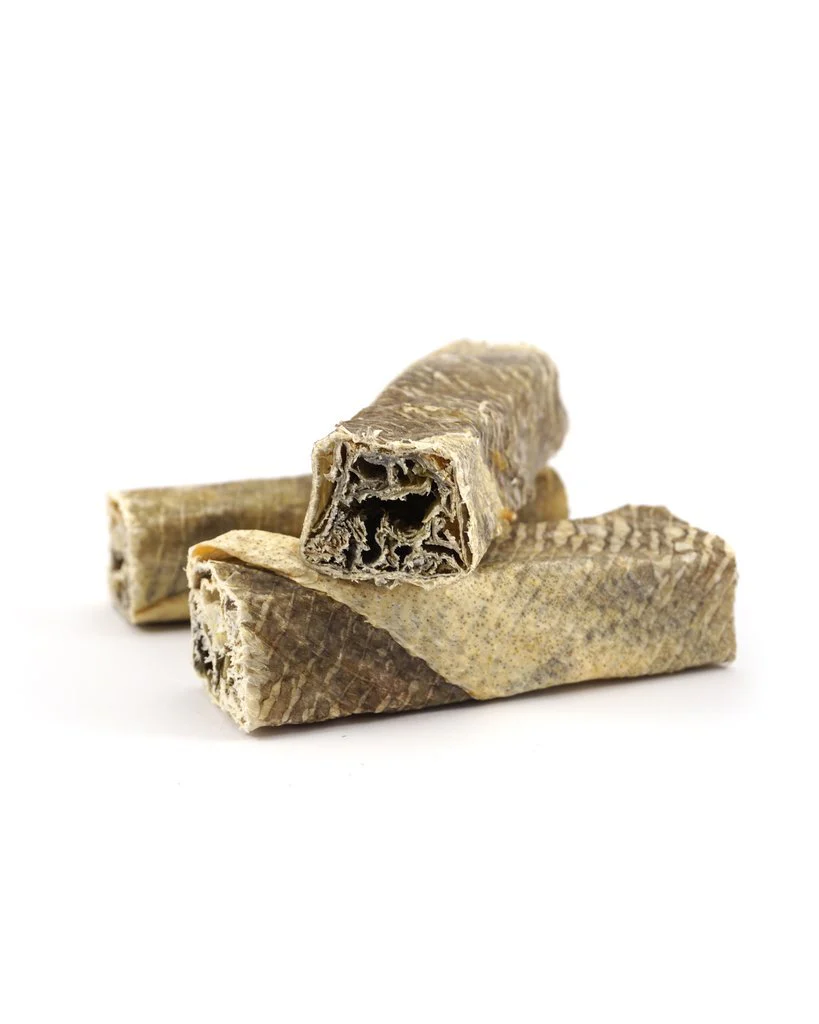 Fish Skin Throw Sticks - Image 6