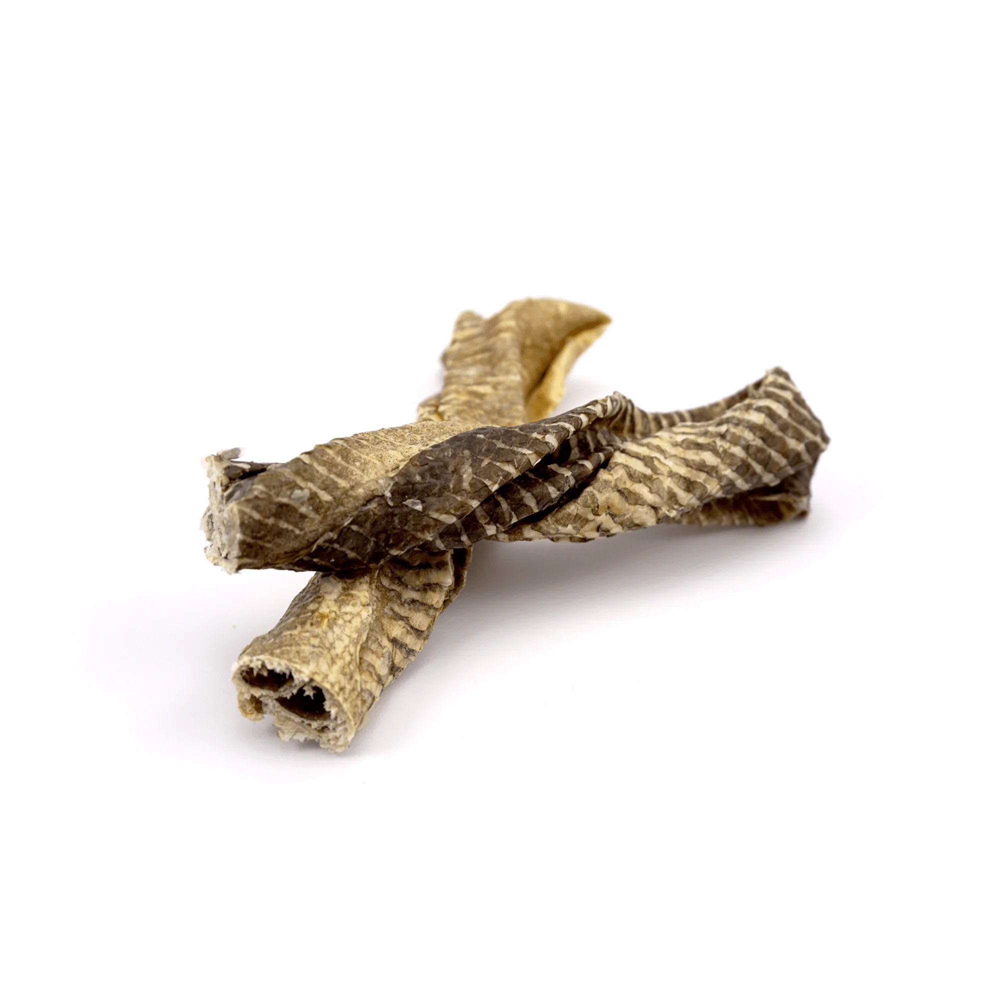 Fish Skin Twists - Try For £1 - Image 7