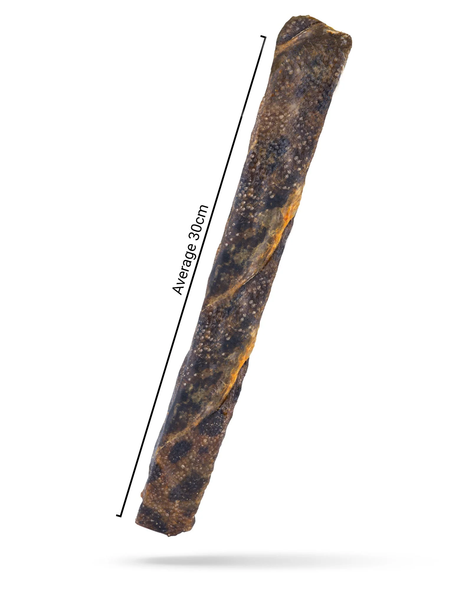 Jumbo Jerky Toothbrush - With Wolf Fish - Image 5