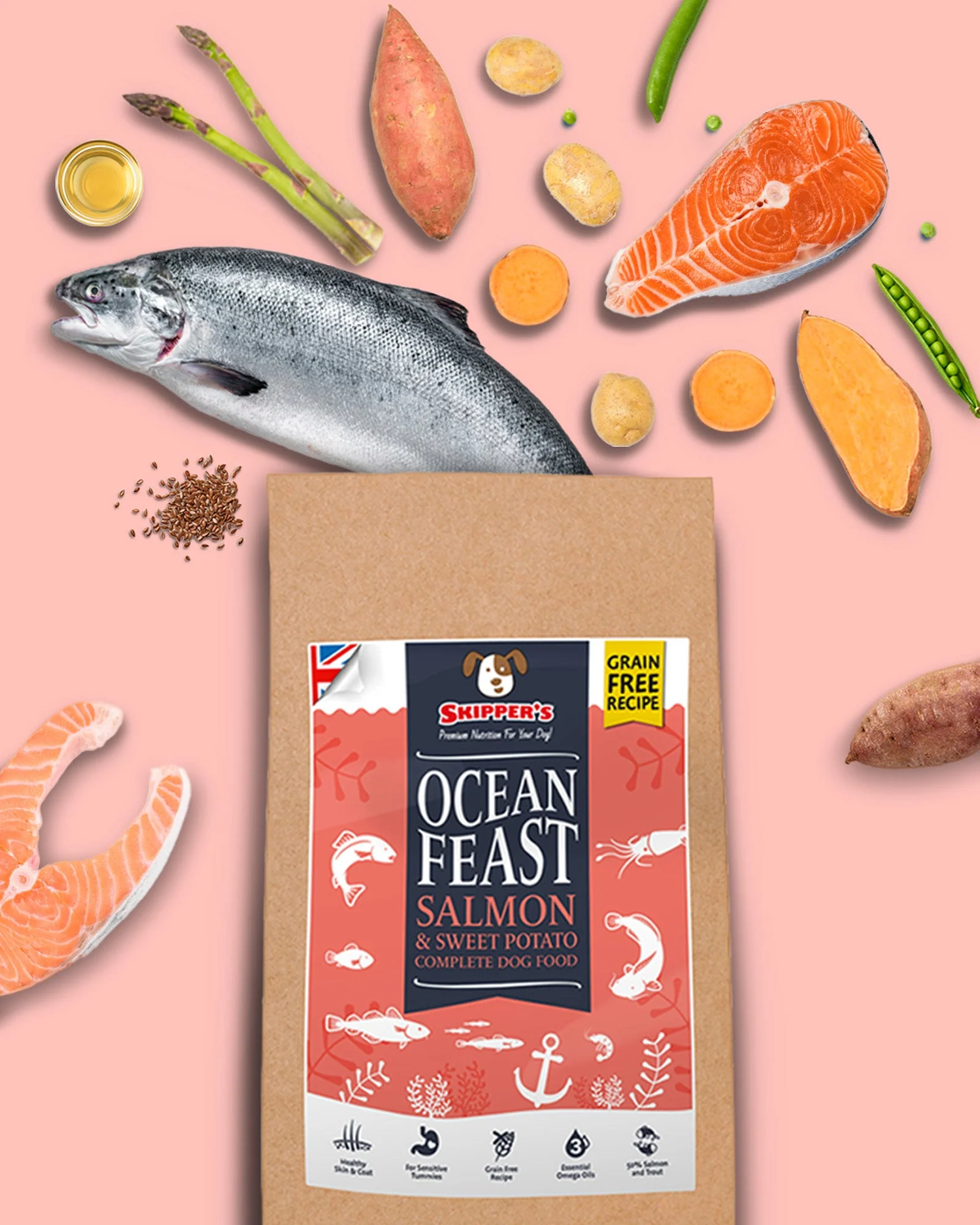 Ocean Feast - GRAIN FREE Salmon & Sweet Potato - Image 2