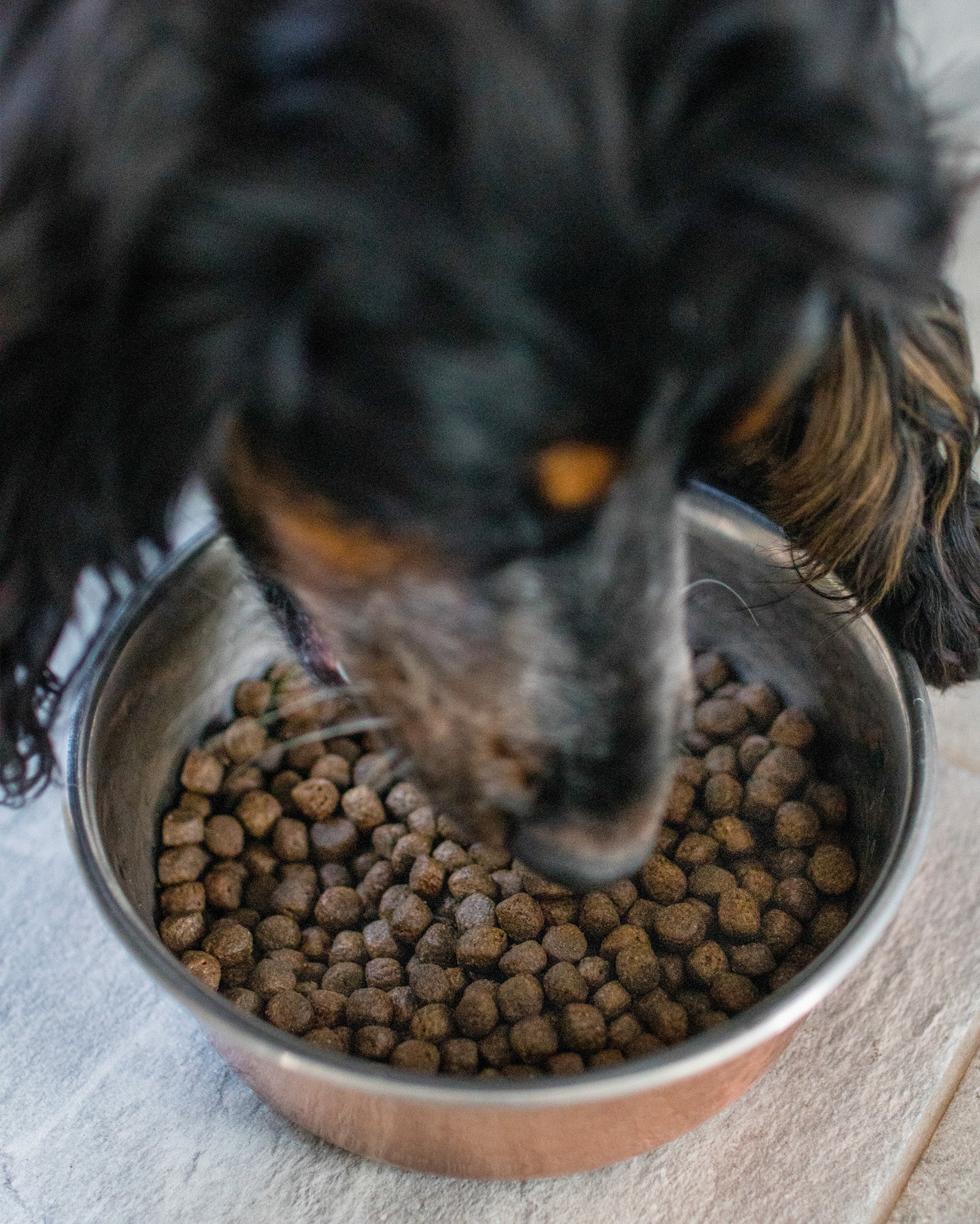 Ocean Puppy Grain Free Complete Food - Image 3