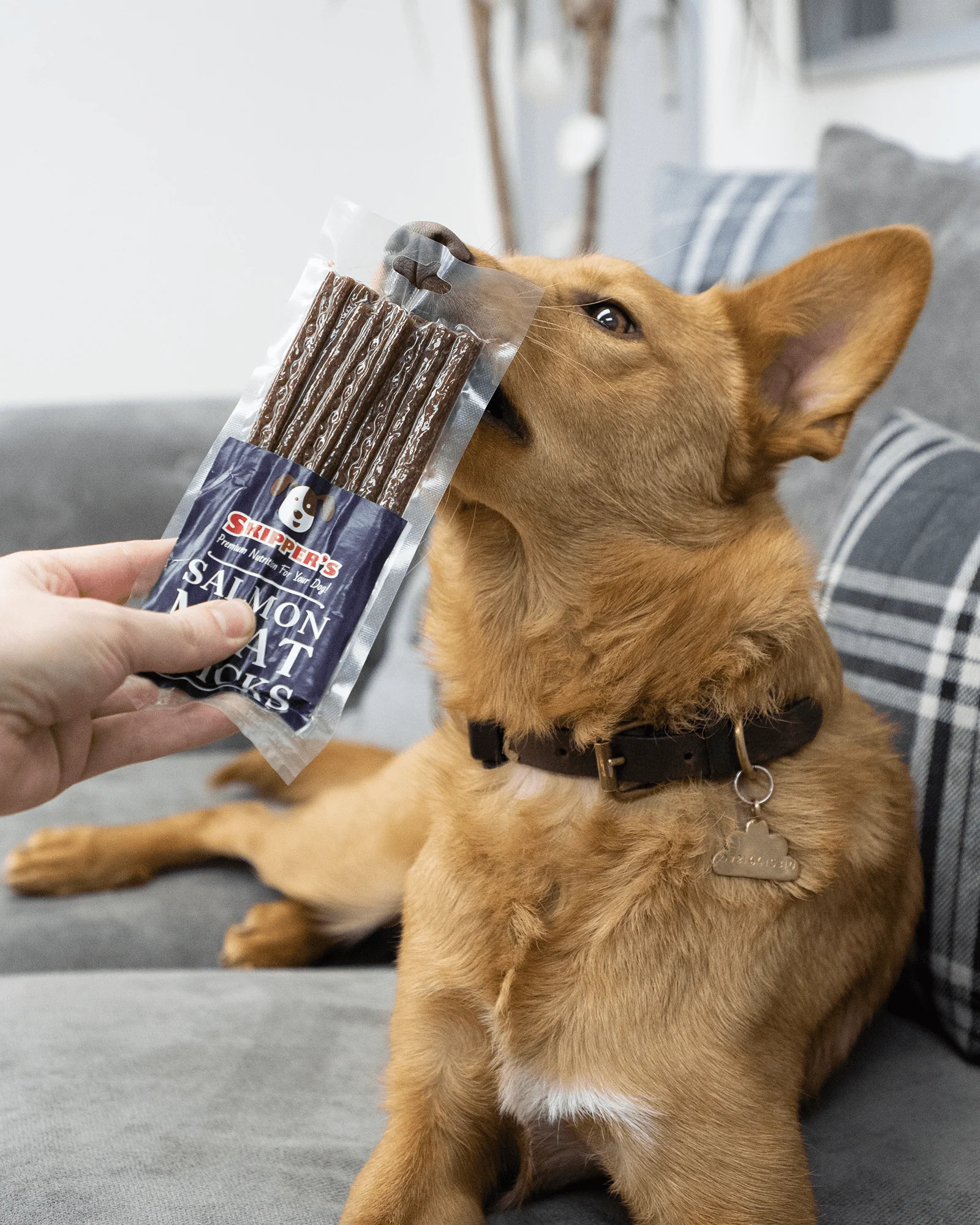 Salmon Meat Sticks - Image 15
