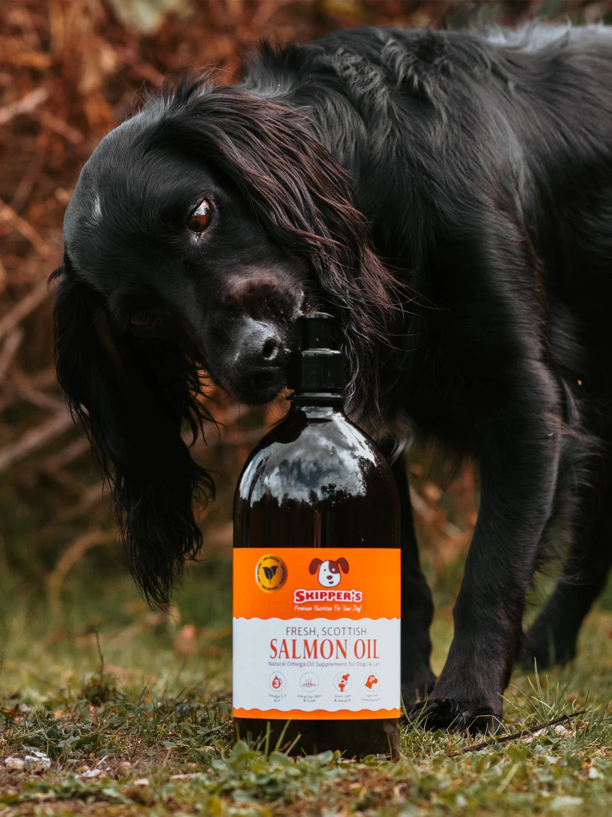 Salmon Oil for Dogs - Image 5