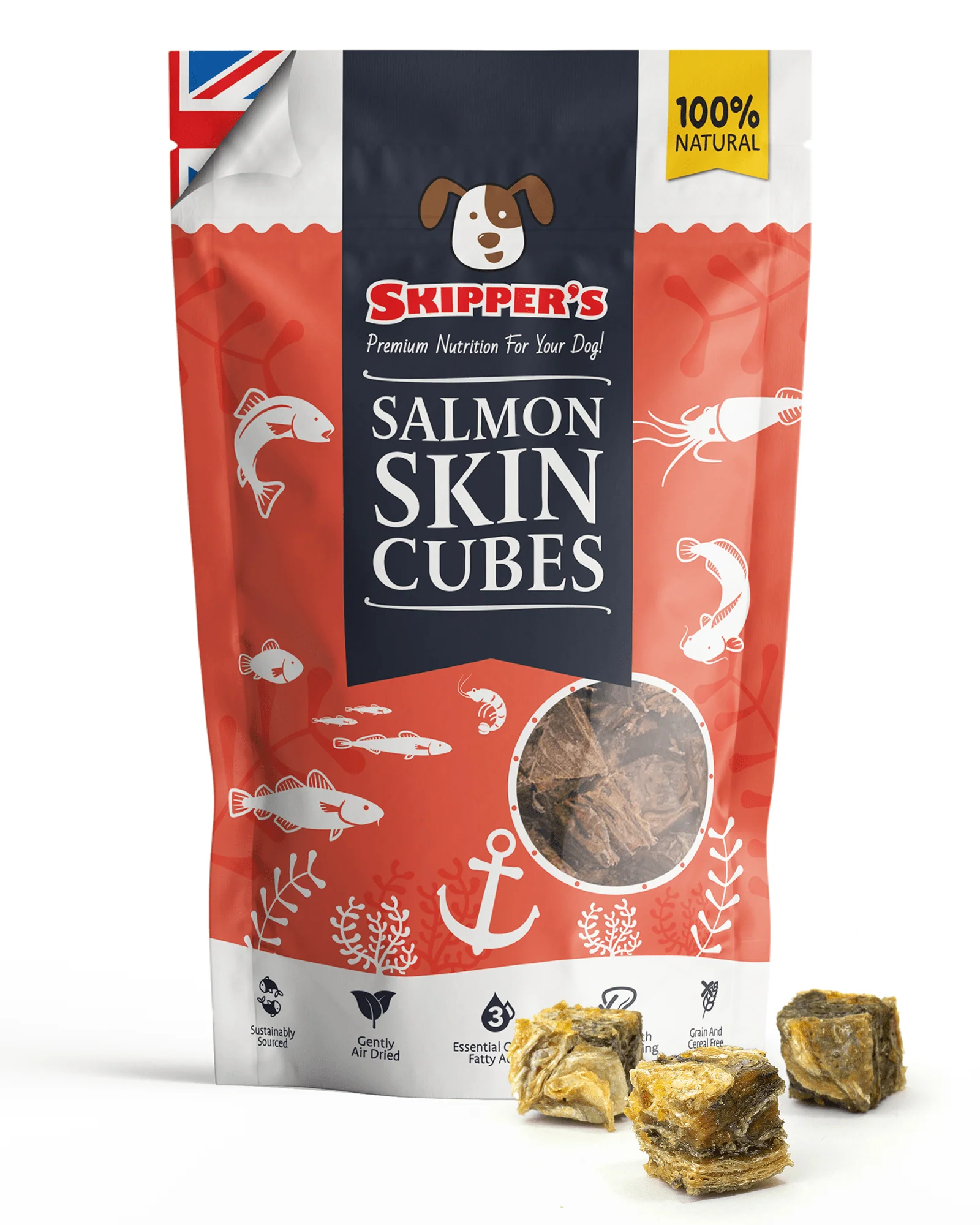 Skin & Coat Bundle - Image 11