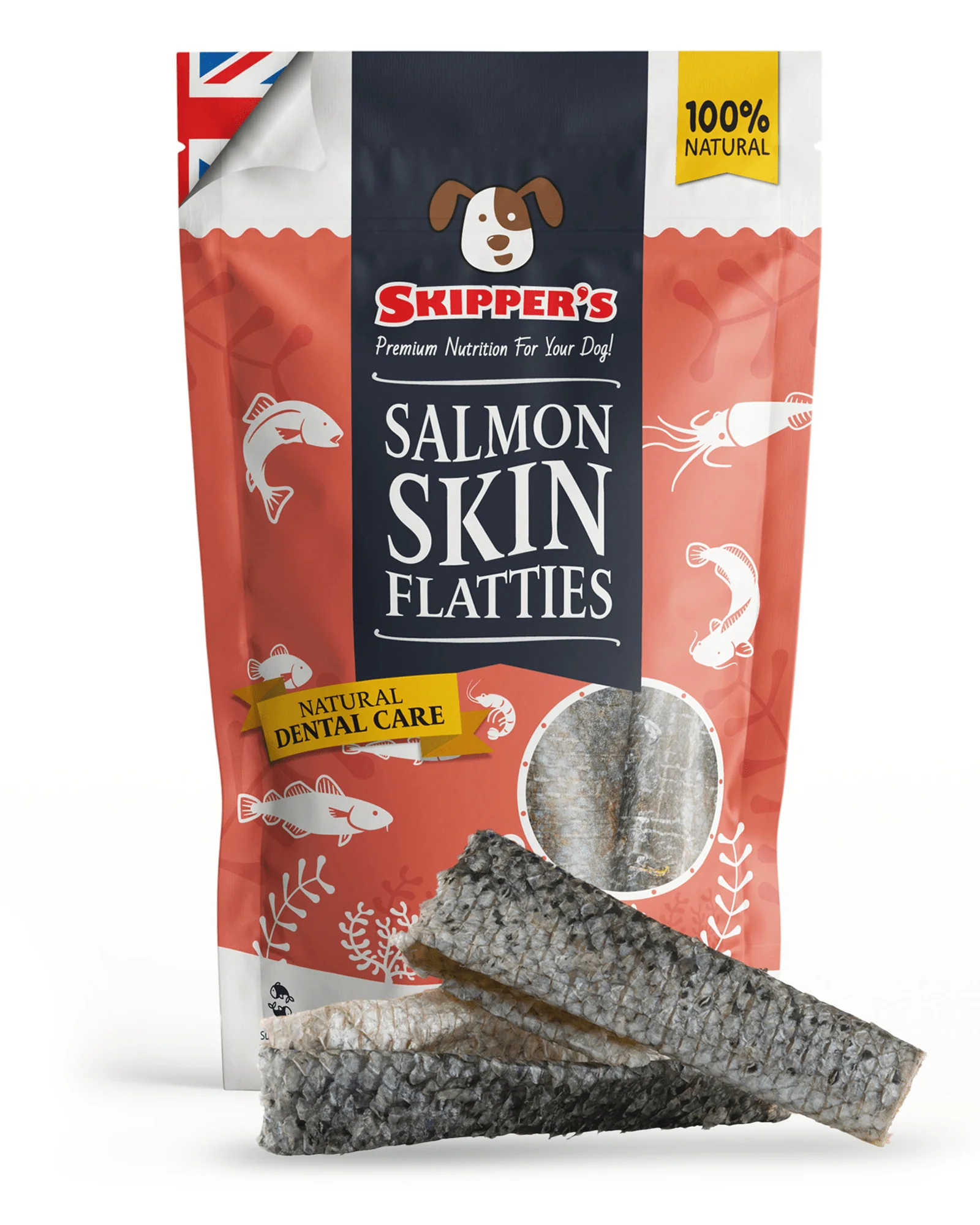 Skin & Coat Bundle - Image 6