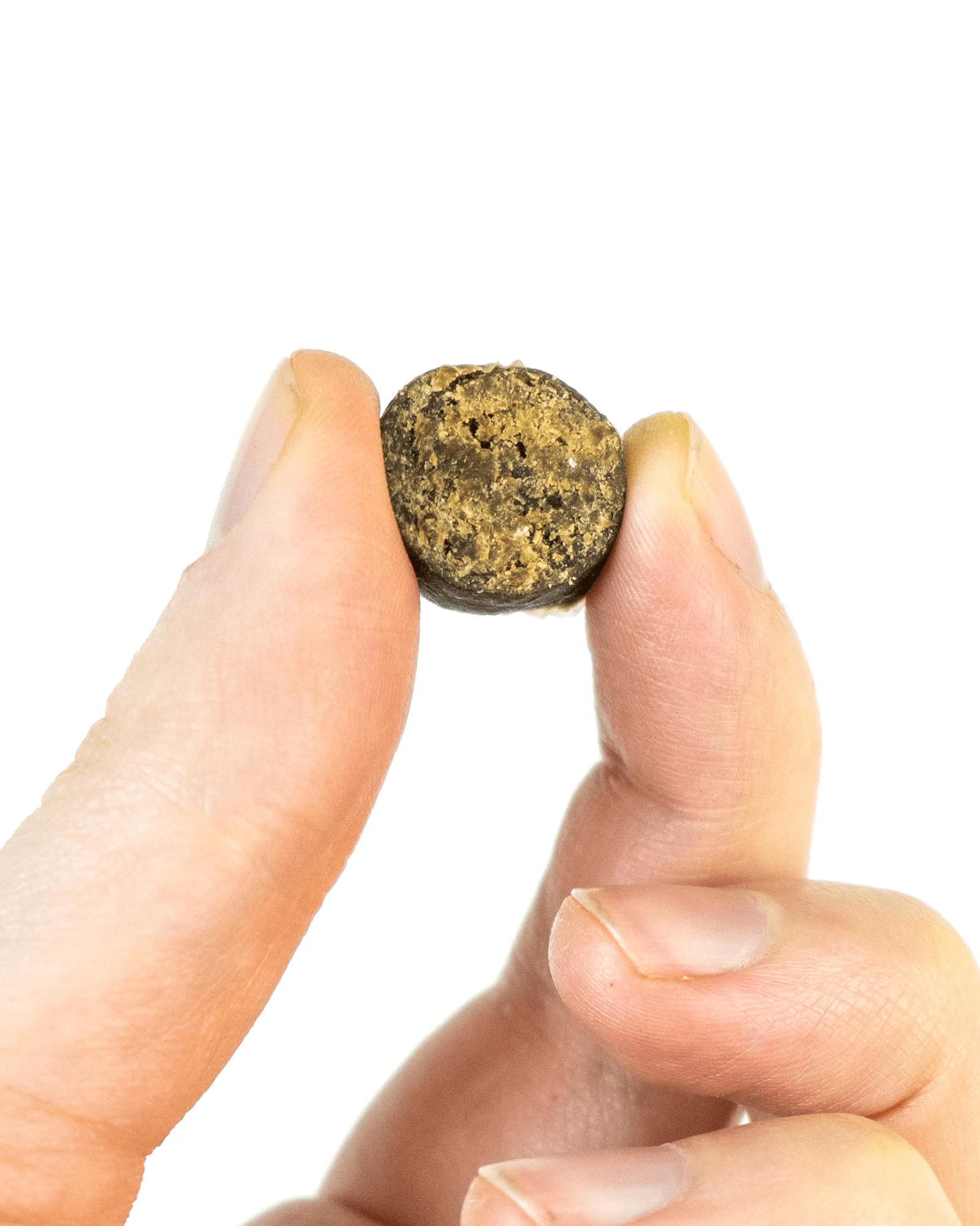 Tasty Turkey Slices - Image 3