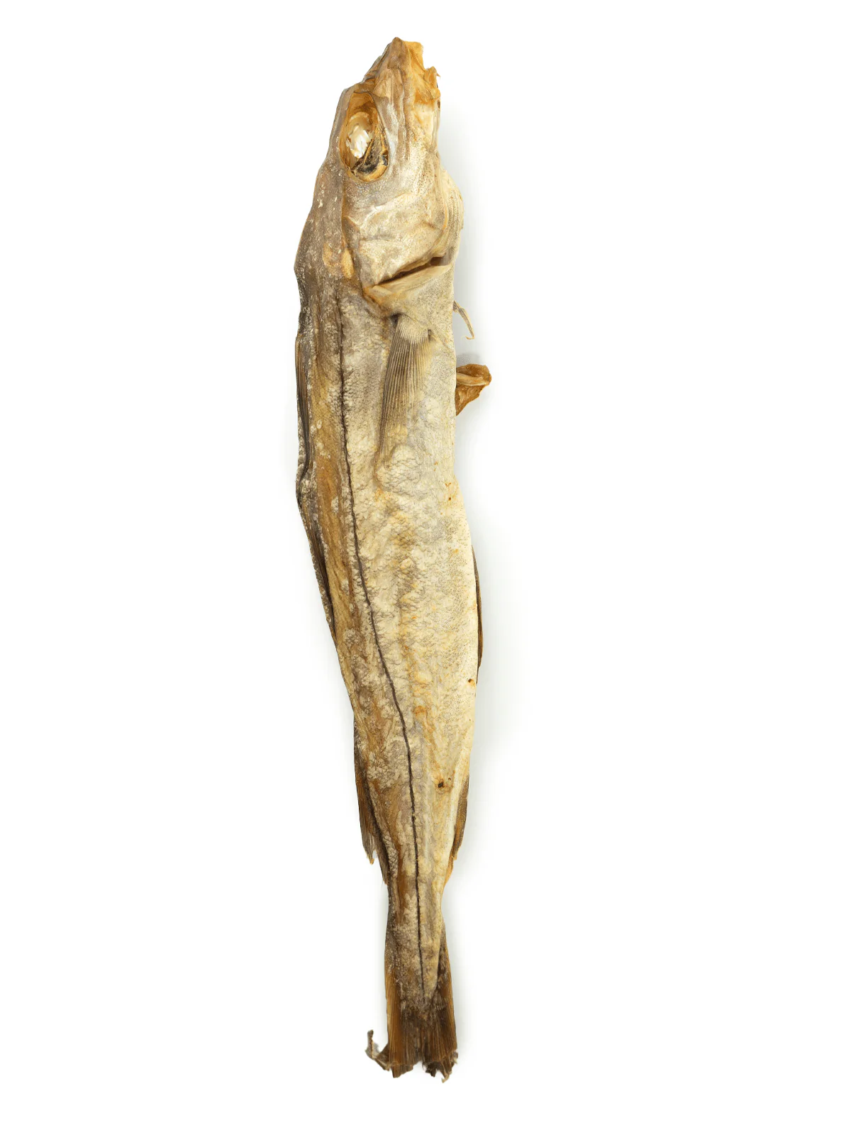 Whole Dried Haddock - Image 4