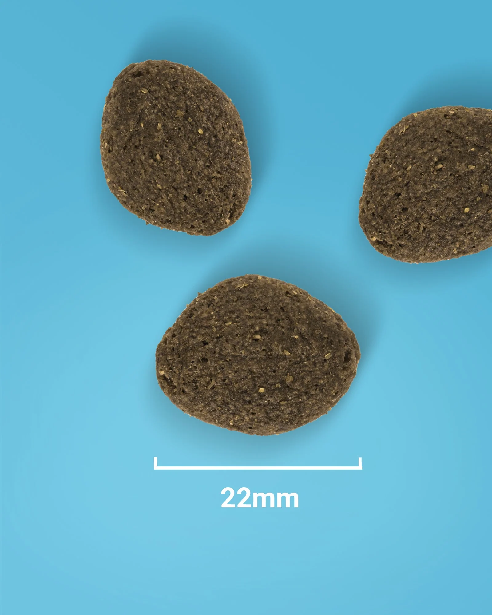 Salmon & Potato Working Dog Food - Image 5